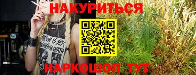 крисы Кунгур