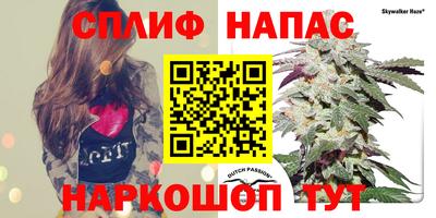 крисы Кунгур