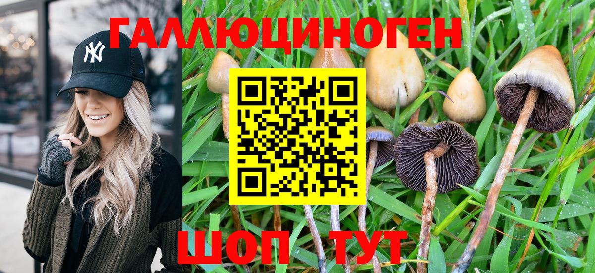 Южно-Сахалинск  Галлюциногенные грибы Psilocybine cubensis  Вход с VPN 